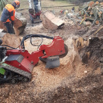 stump removal