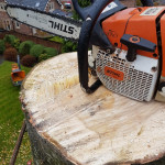 stihl saw