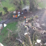 Forest clearance