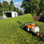 hedge trimming
