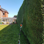Hedge trimming