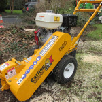 stump removal